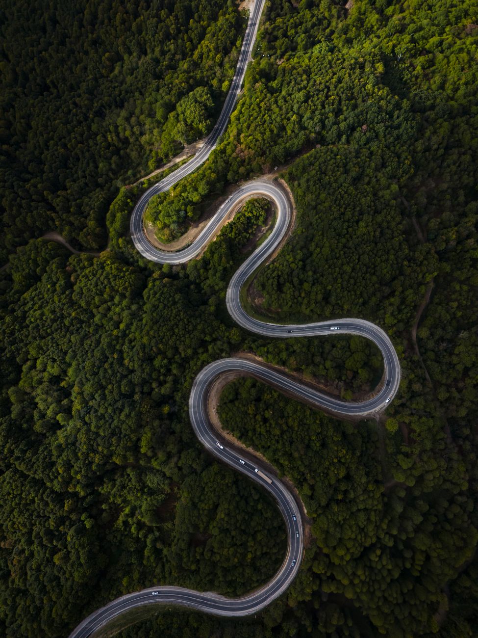 Aerial view of a winding road surrounded by lush green forest.